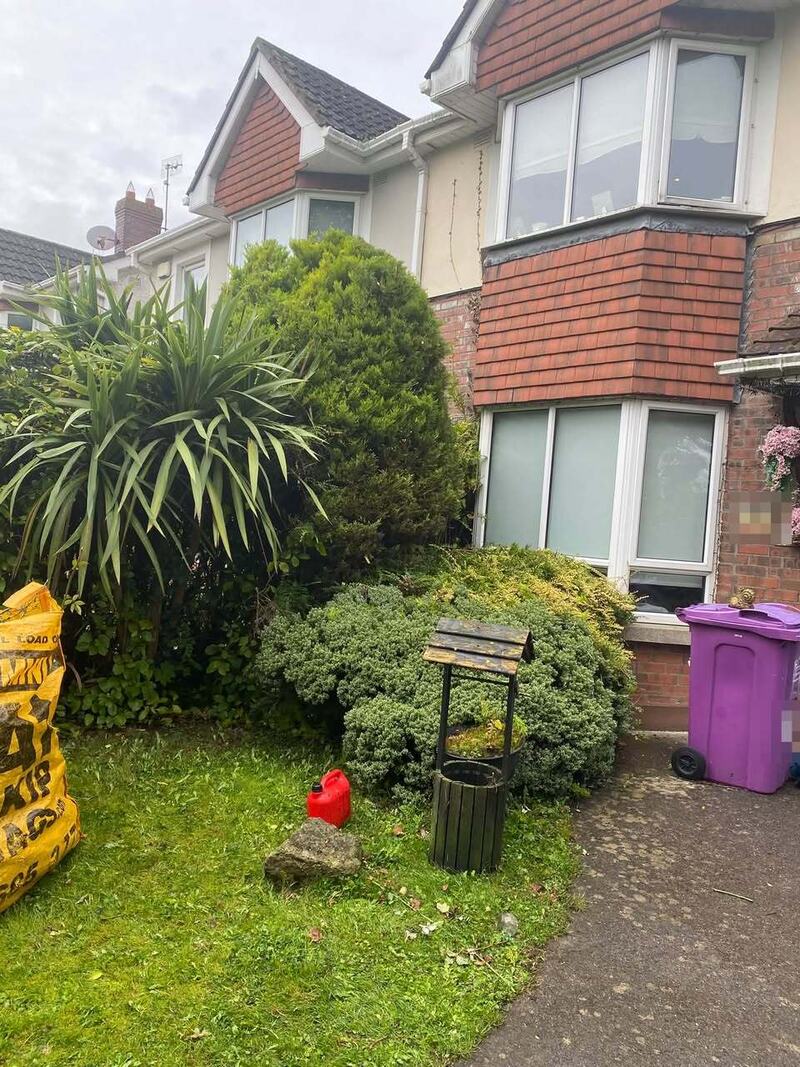 A front garden in Swords with a conifer, a cordyline and low shrubs beside the house