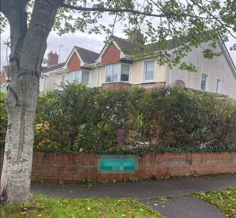 A hedge along a low brick garden wall in front of a semi-detached house in Swords